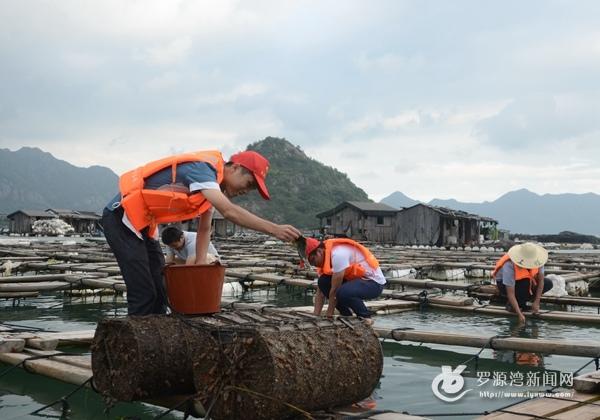 台风后家中现大鲶鱼台风后家中现大鲶鱼