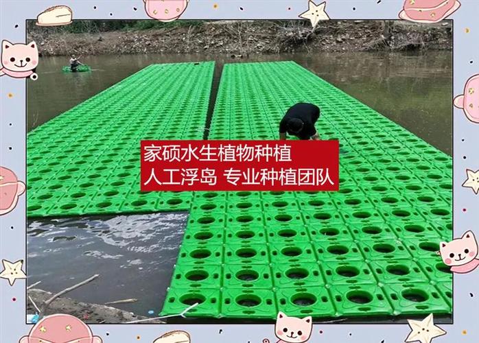 给大家普及下人工浮岛施工方案学习教程免费下载人工浮岛的施工流程