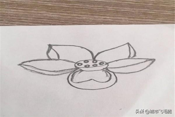 给大家普及下映日荷花别样红ppt学习教程免费下载映日荷花别样红海报