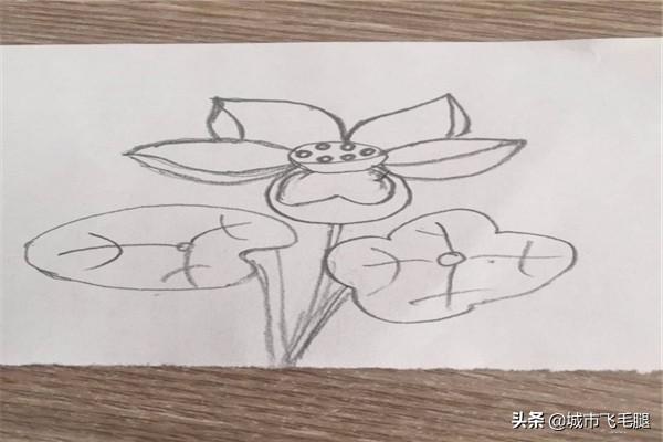 给大家普及下映日荷花别样红ppt学习教程免费下载映日荷花别样红海报